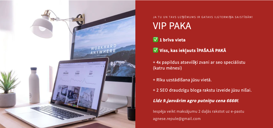 SEO MENTORINGA VIP PAKA